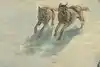 Thumbnail image 7