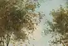 Thumbnail image 6