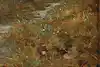 Thumbnail image 7