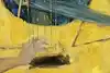 Thumbnail image 10