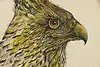 Thumbnail image 7