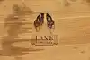 Thumbnail image 10
