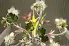 Thumbnail image 14