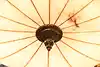 Thumbnail image 8