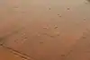 Thumbnail image 15