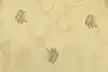 Thumbnail image 3