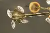 Thumbnail image 10