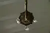 Thumbnail image 20
