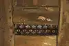 Thumbnail image 15