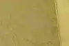 Thumbnail image 14