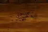 Thumbnail image 11