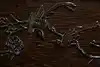 Thumbnail image 13