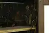 Thumbnail image 14