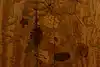 Thumbnail image 19