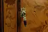 Thumbnail image 24