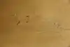 Thumbnail image 16