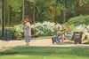 Thumbnail image 7