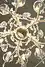 Thumbnail image 17