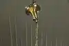 Thumbnail image 18