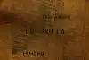 Thumbnail image 22