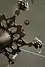 Thumbnail image 17
