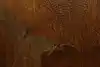 Thumbnail image 9
