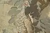 Thumbnail image 17