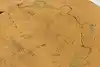 Thumbnail image 10