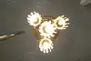 Thumbnail image 11