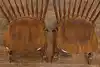 Thumbnail image 21