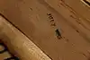 Thumbnail image 15