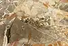 Thumbnail image 22