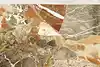 Thumbnail image 23