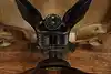 Thumbnail image 13