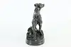 Thumbnail image 12