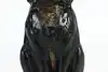 Thumbnail image 5