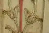 Thumbnail image 14