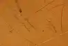 Thumbnail image 13