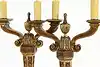Thumbnail image 22