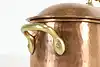 Thumbnail image 14
