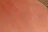 Thumbnail image 27