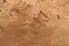 Thumbnail image 9