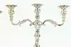 Thumbnail image 12