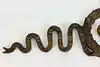 Thumbnail image 1