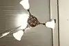 Thumbnail image 23