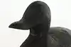 Thumbnail image 1