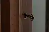Thumbnail image 22