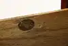Thumbnail image 19