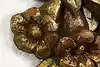 Thumbnail image 8