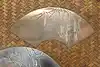 Thumbnail image 14